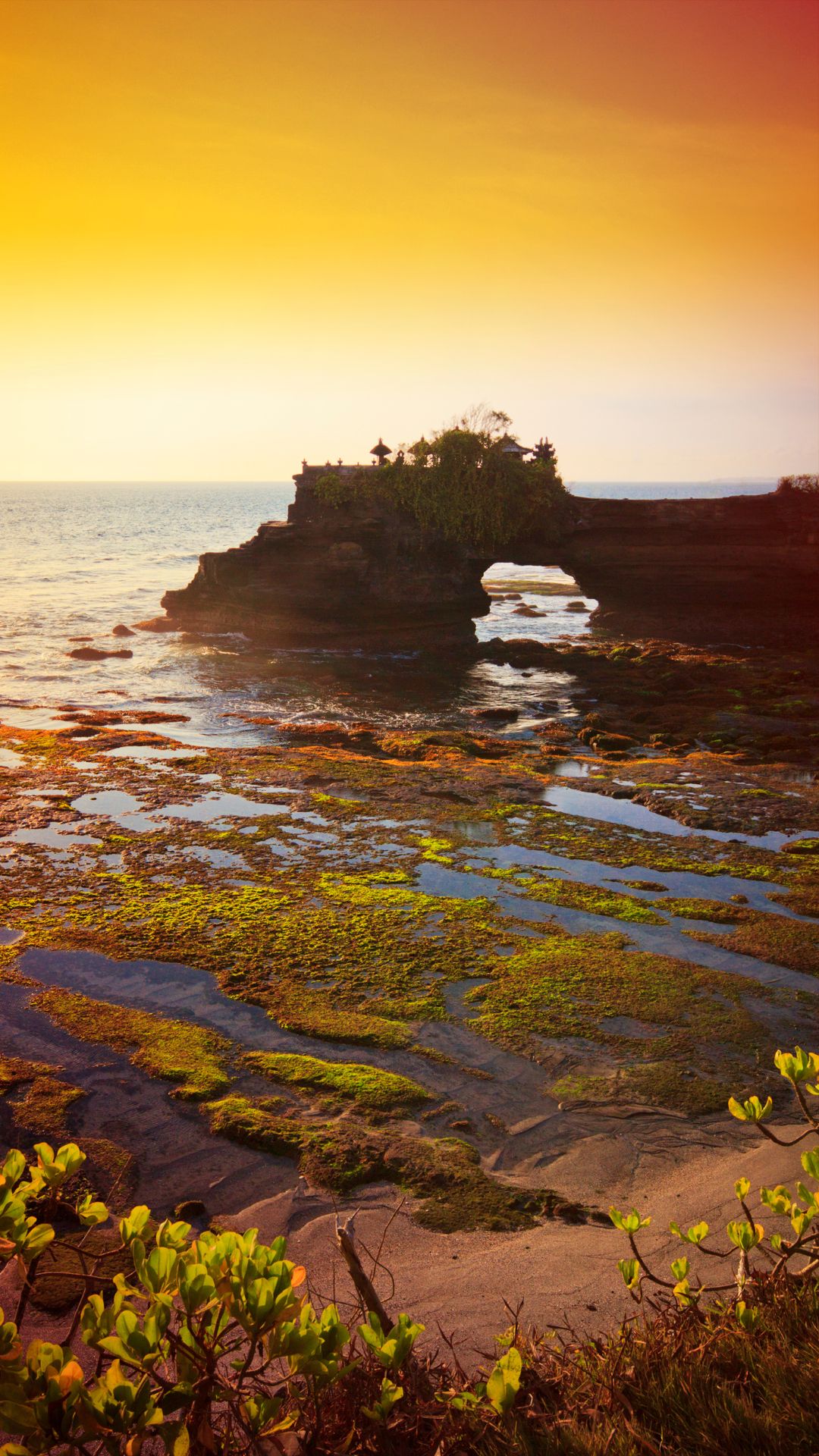 Stage à Bali